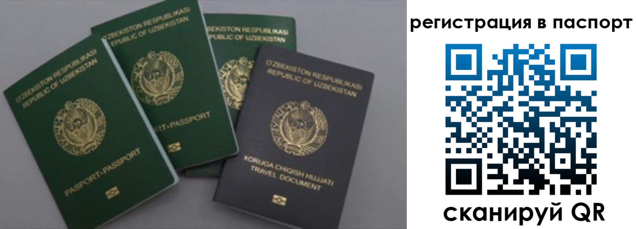 прописка от собственника в Марксе